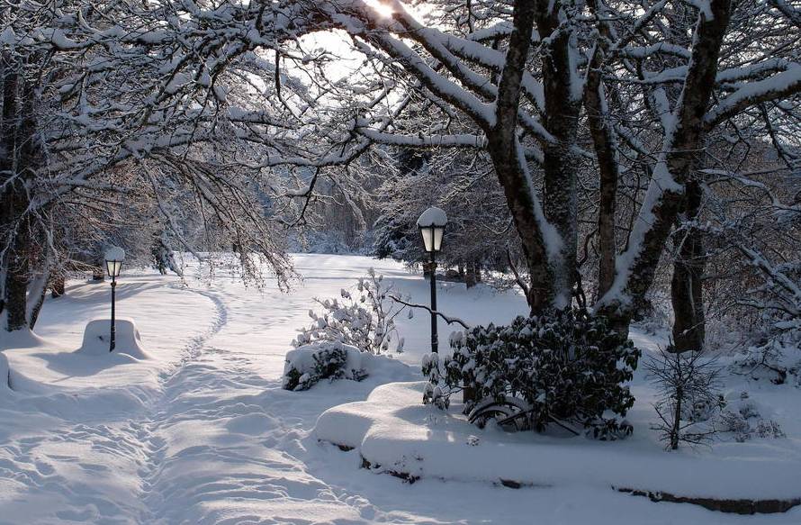 Rosenhofgarten im Winter